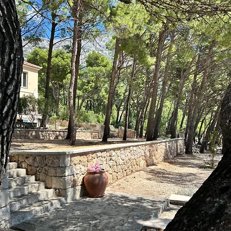 Lone In Ruza On Punta Rata Appartamento